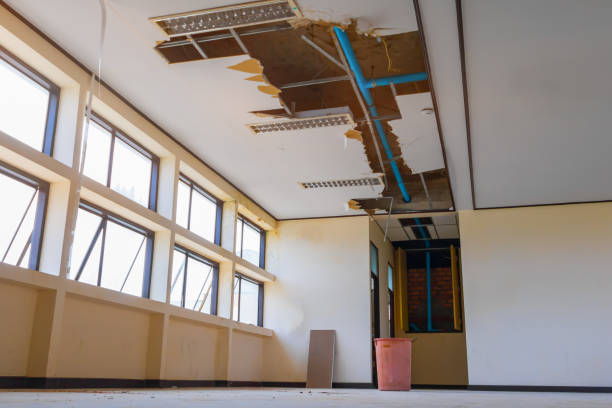 Best Ceiling water damage repair  in Loudon, TN