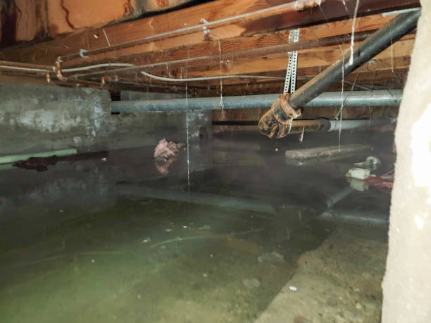 Professional Water damage restoration in Loudon, TN