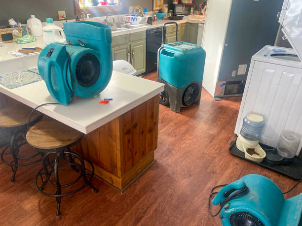 Loudon, TN Water damage restoration Pros