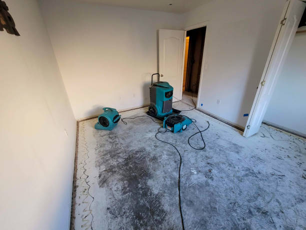 Best Professional water damage repair  in Loudon, TN