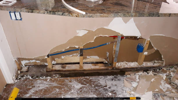 Water damage restoration mold remediation in Loudon, TN