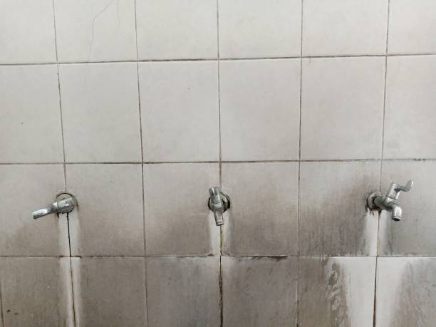 Best Water damage restoration near me  in Loudon, TN