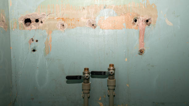 Best Emergency water damage restoration  in Loudon, TN