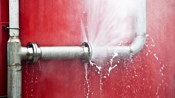 Best Flood restoration services  in Loudon, TN